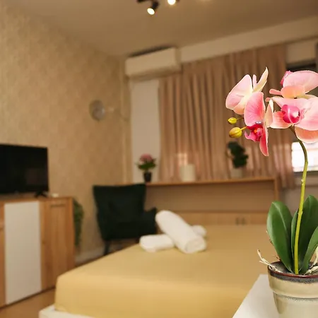 Cozy Near Square 21 شقة تيرانا